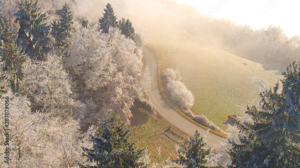 AERIAL Empty road going trough frozen forest covered in white ice on winter day