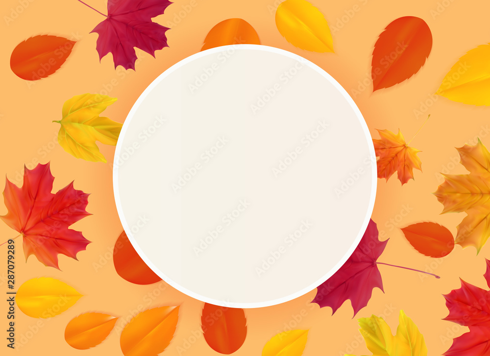 Autumn Natural Leaves Background. Vector Illustration