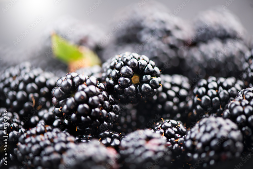 Blackberry background. Fresh ripe organic blackberries closeup