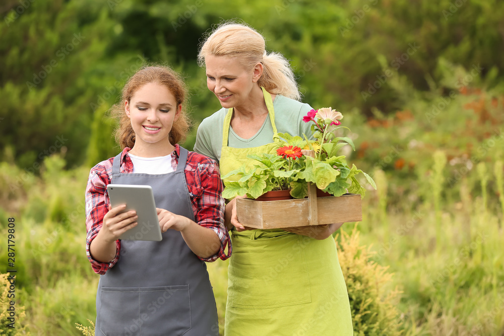 Female gardeners with tablet computer and flowers outdoors