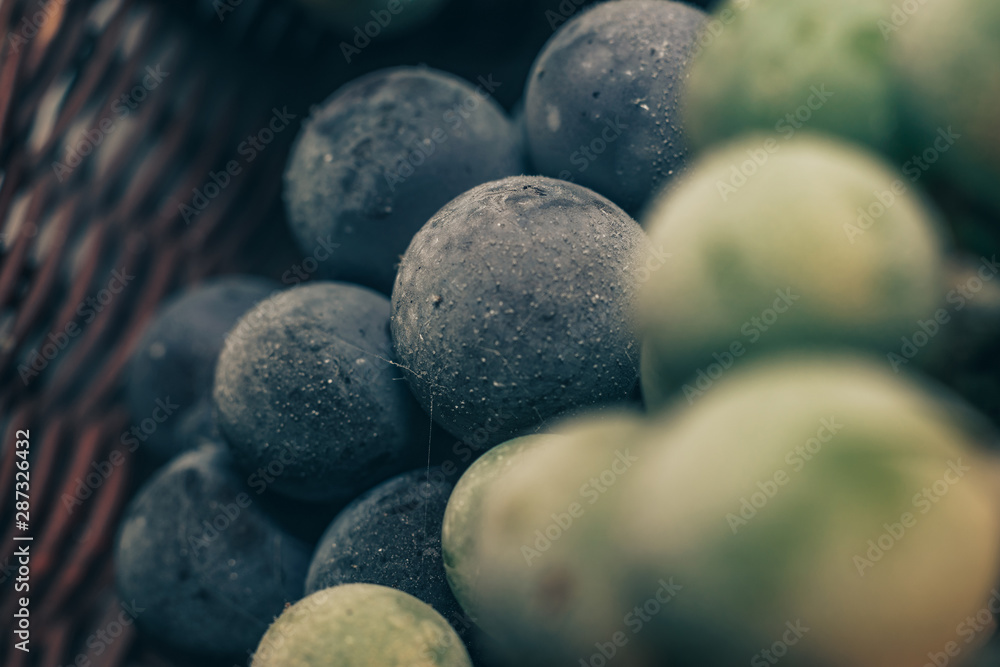 Close up fresh frozen green and blue grape grains background. Macro view.