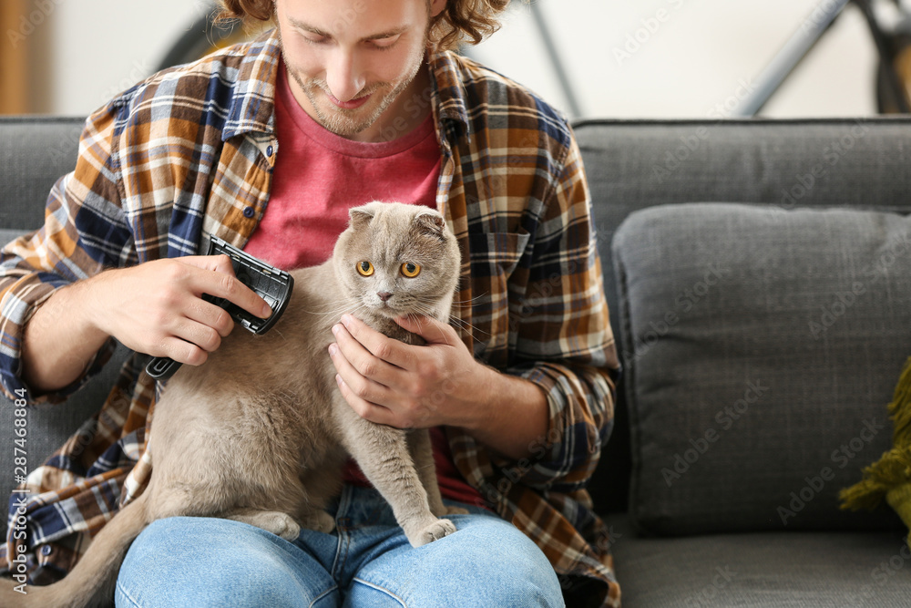 男人在家里刷可爱有趣的猫