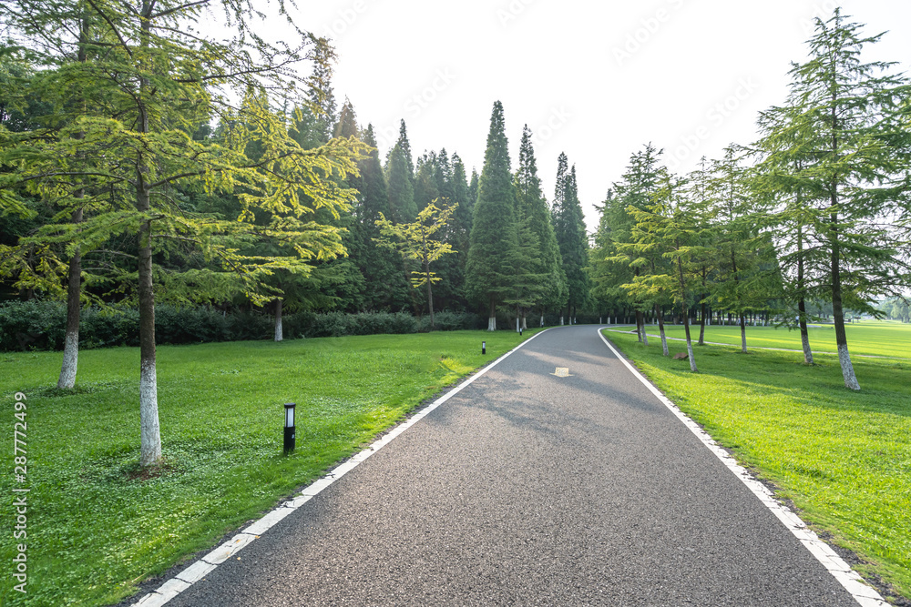 城市道路