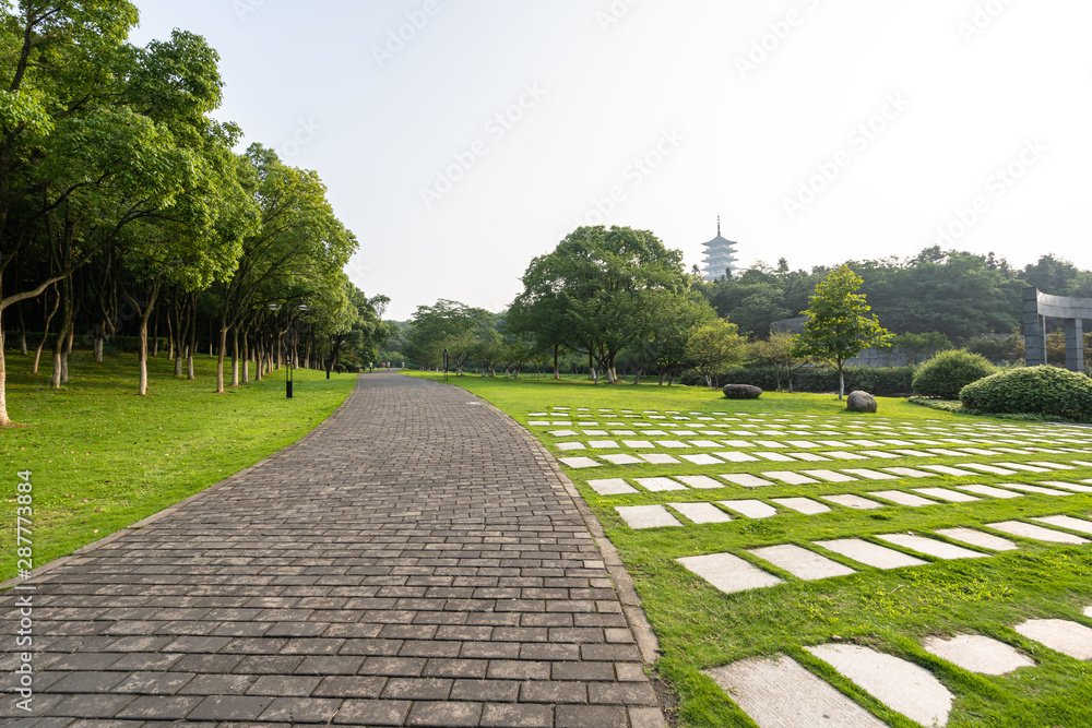 城市道路