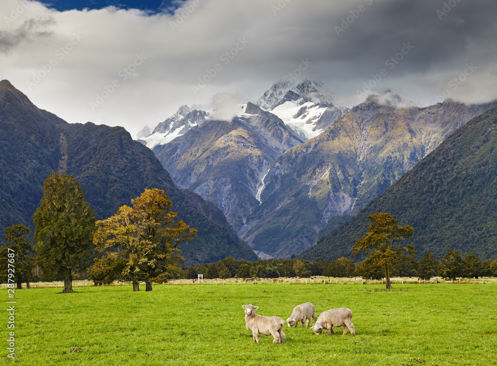 新西兰南阿尔卑斯山脉的山景