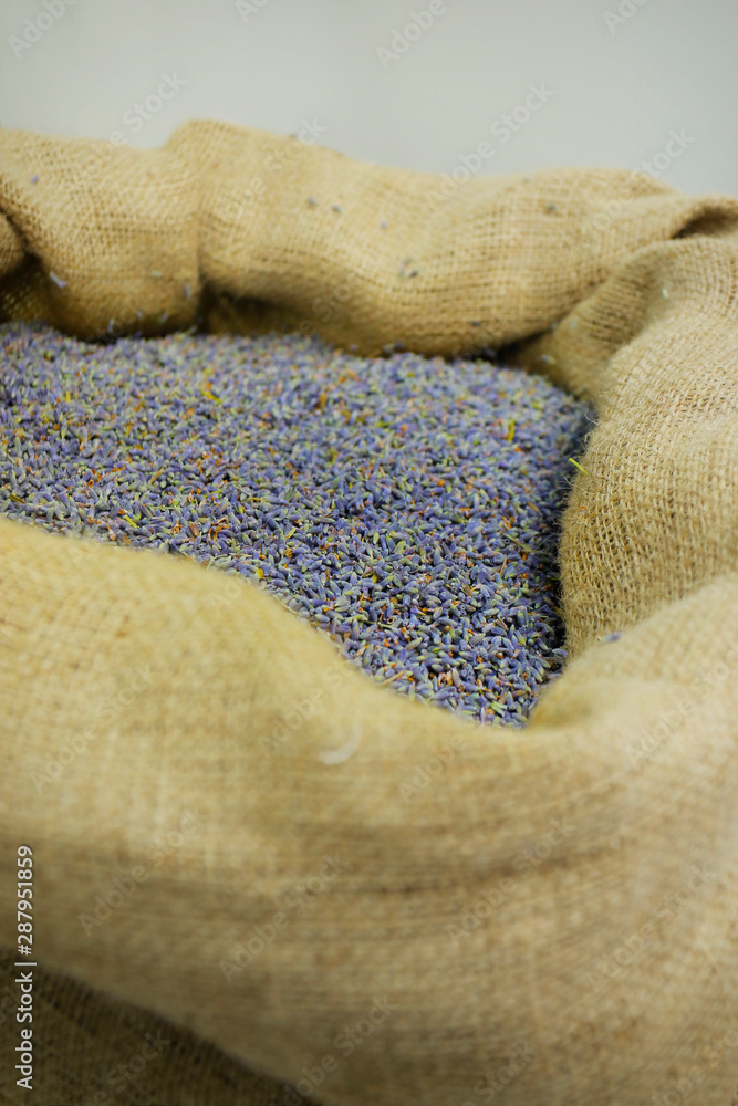 bag of purple lavender from provence 