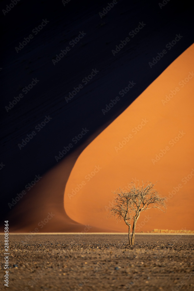 Deep colors of sand dunes during sunset. Sossusvlei, Namibia.