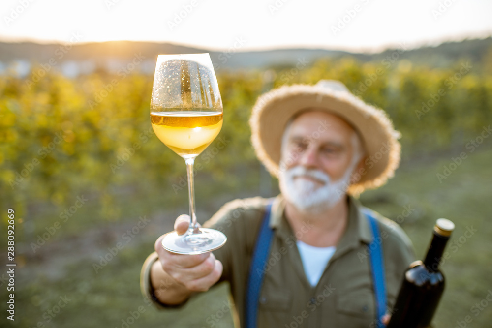 一位衣着考究的高级酿酒师在日落期间检查葡萄园的葡萄酒质量的肖像