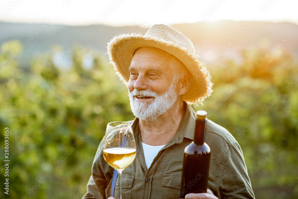 一位衣着考究的高级酿酒师在日落期间检查葡萄园葡萄酒质量的肖像