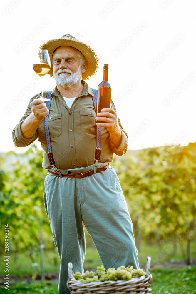 一位穿着考究的高级酿酒师在日落时检查葡萄园葡萄酒质量的肖像