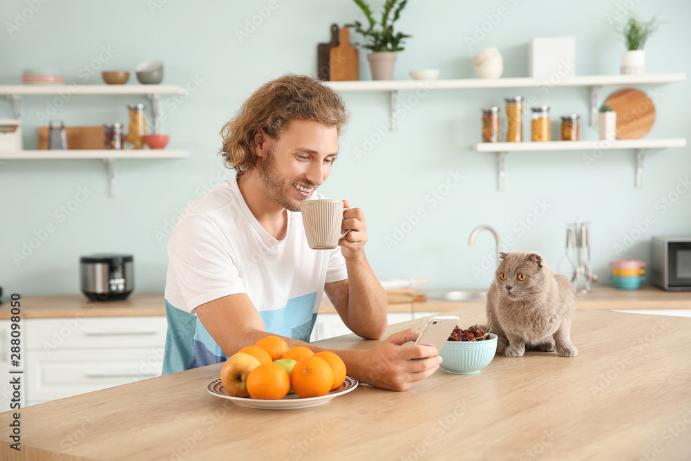 男人拿着手机，坐在厨房里和可爱的猫喝咖啡