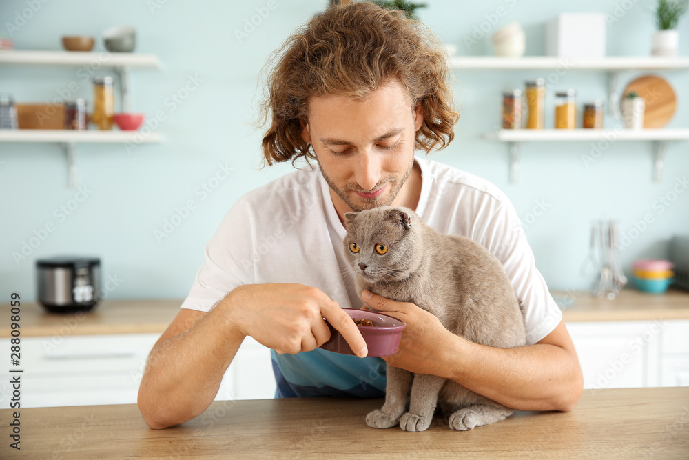 男人在厨房喂可爱有趣的猫