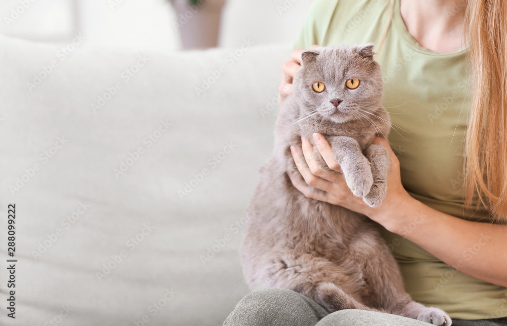 家里养着可爱猫咪的美女