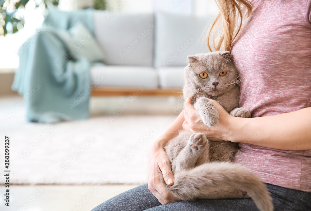 家里有主人的可爱猫咪