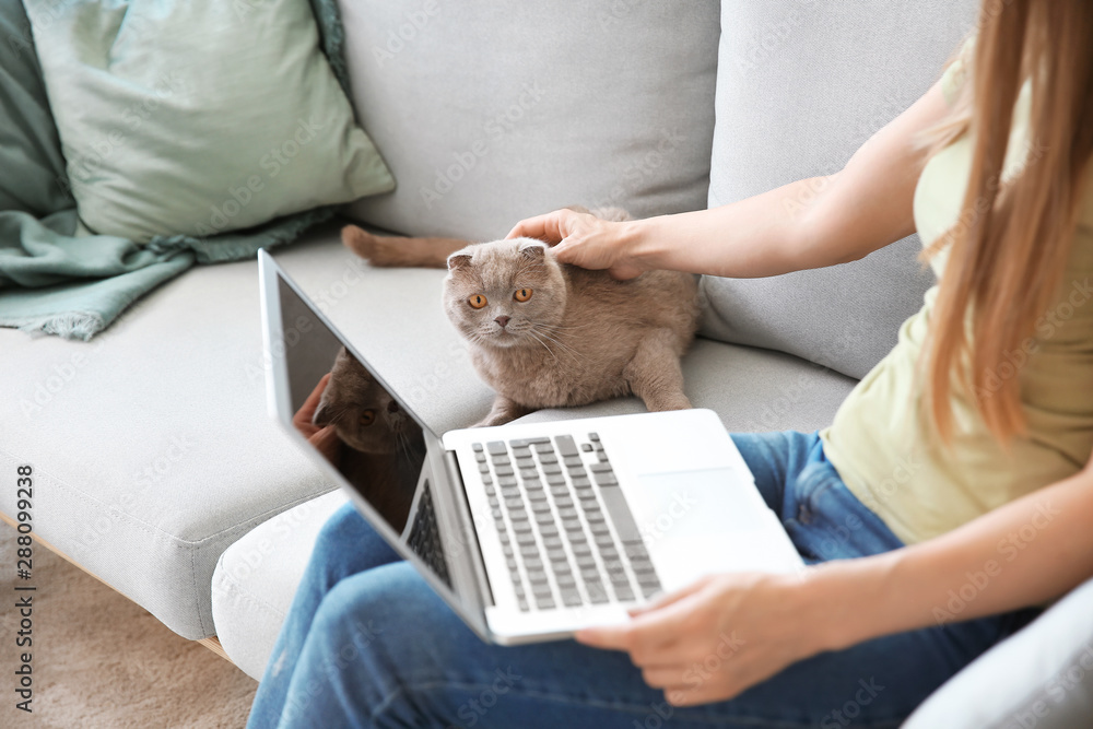 漂亮女人，带着可爱的猫和笔记本电脑坐在家里的沙发上