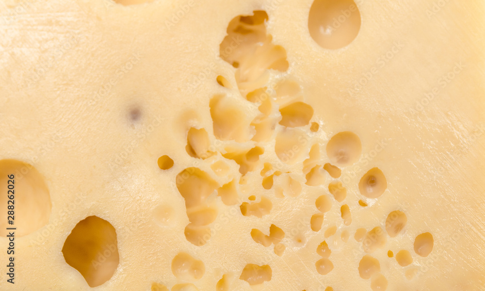 Cheese with yellow holes as a background.