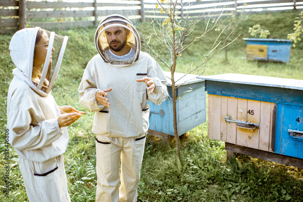 Two young beekepers in protective uniform working on a small apiary farm with wooden beehives on the