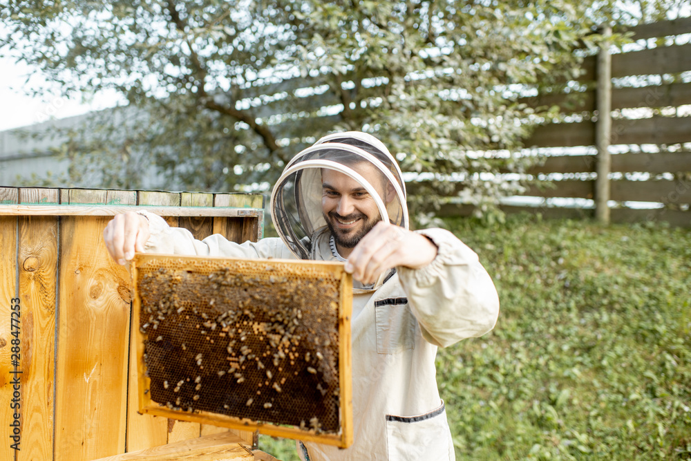 Beekeeper in protective uniform getting honeycombs from the wooden hive, working on the apiary