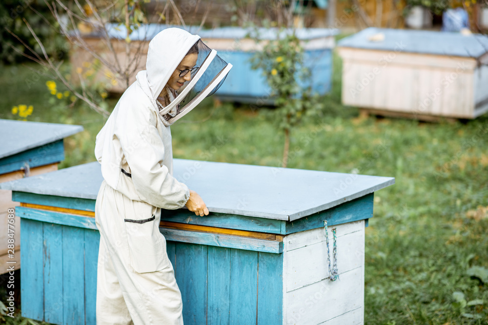 Young beekeeper in protective uniform opening beehive while working on the apiary