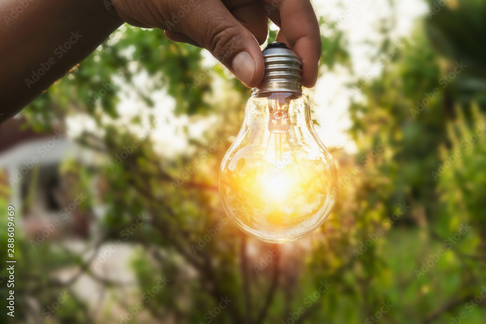 hand holding a light bulb with sunset power concept