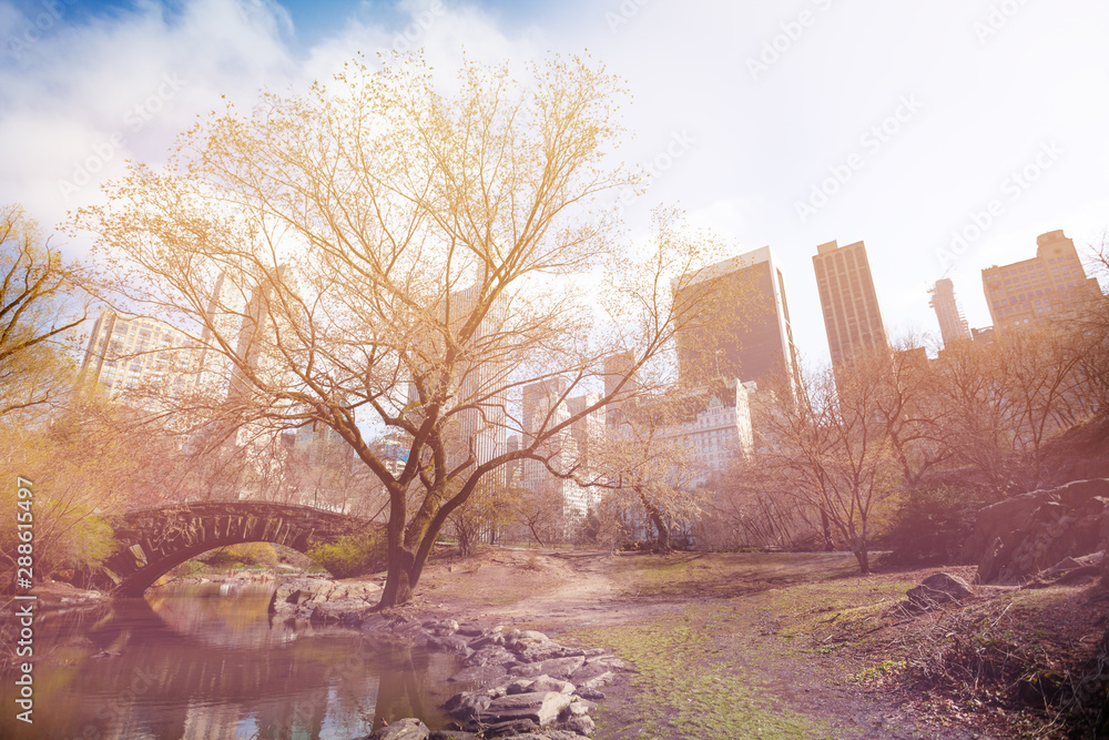 Gapstow Bridge and New York skyline on background