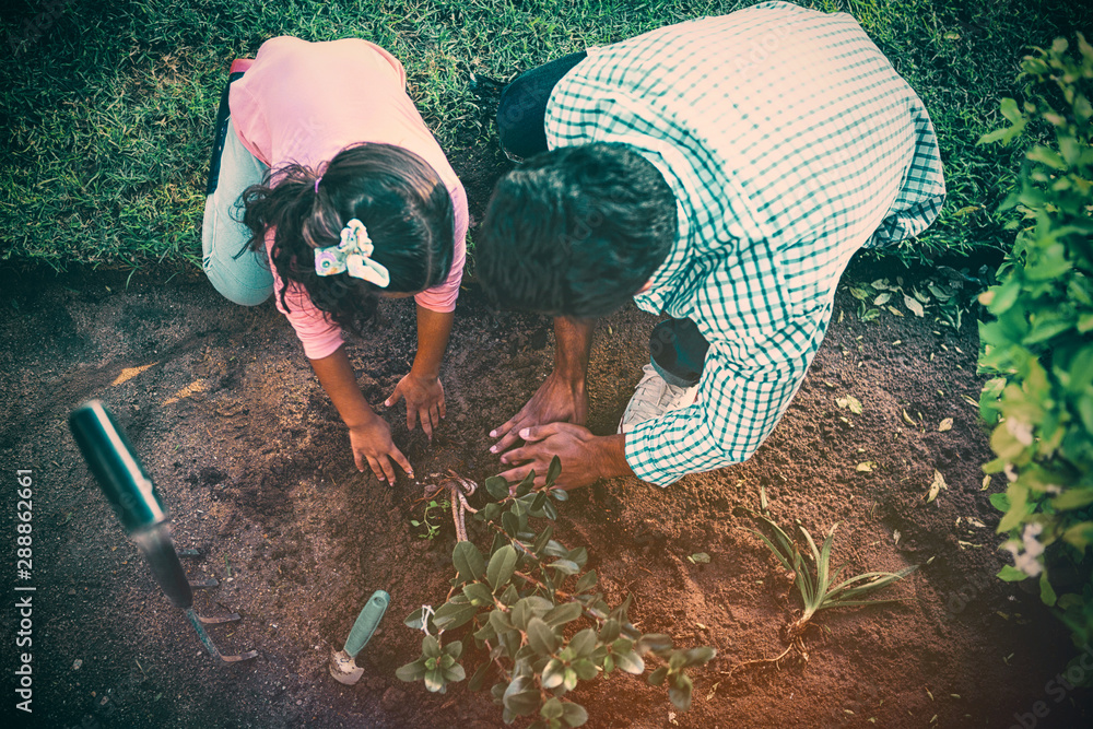 Father and daughter planting a tree in garden at backyard