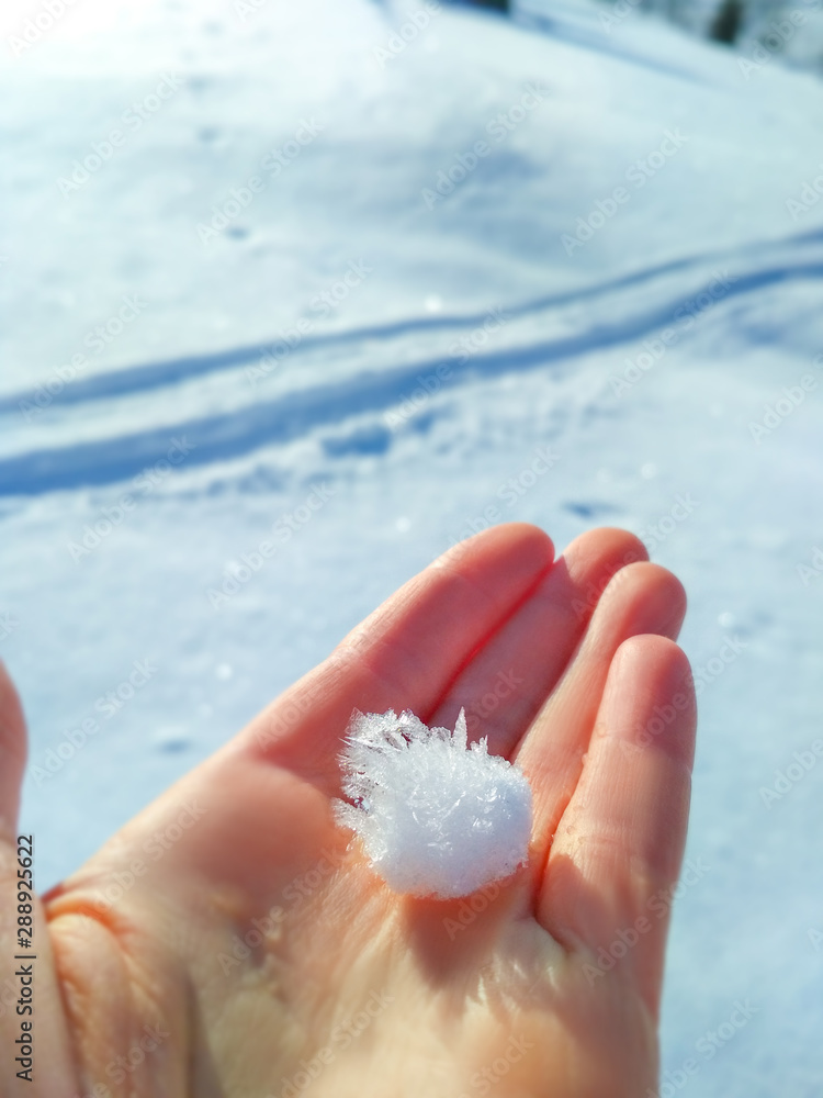 手抓雪