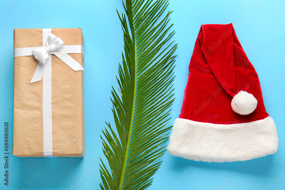 Santa Claus hat with Christmas gift and tropical leaf on color background