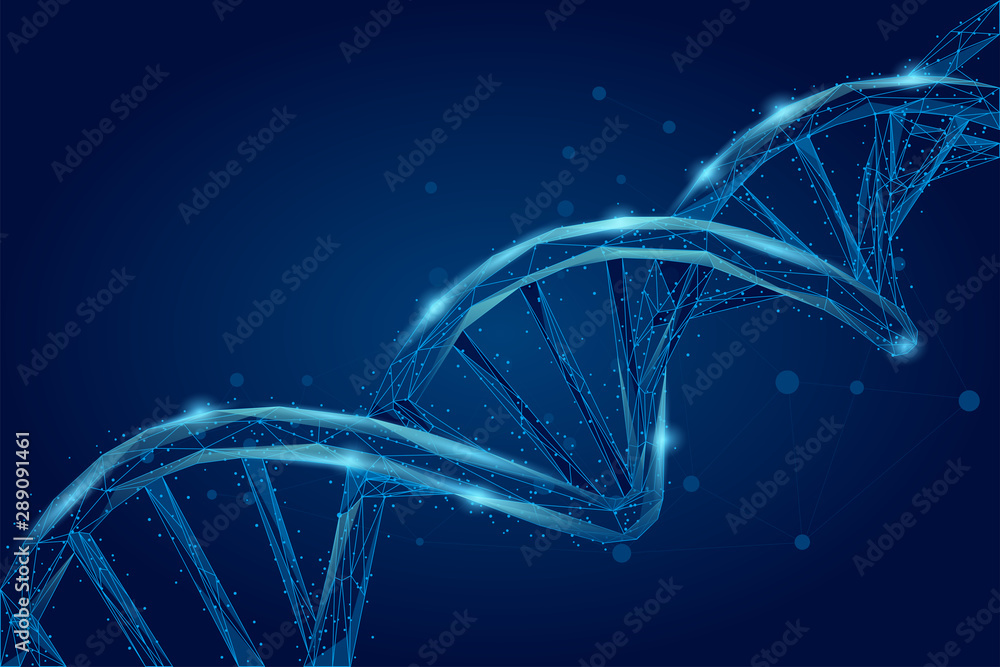 抽象三维多边形线框DNA分子螺旋。医学，遗传生物技术，c