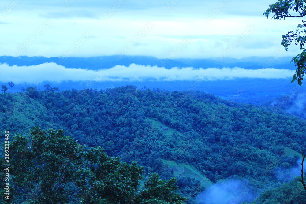 山景