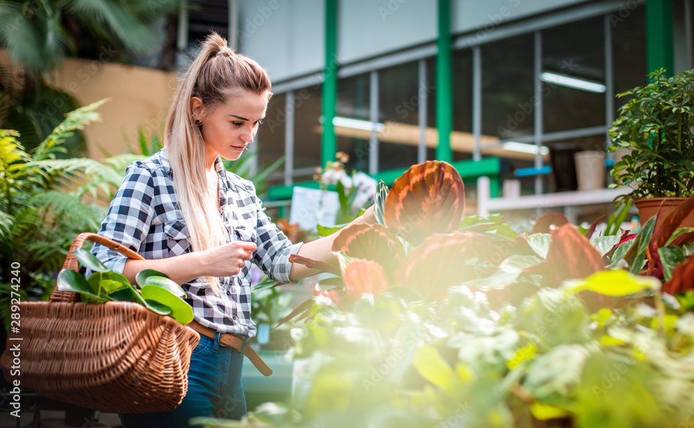 Woman shopping for and looking at plants in garden center