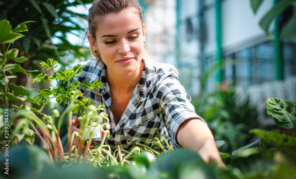 Woman shopping for and looking at plants in garden center