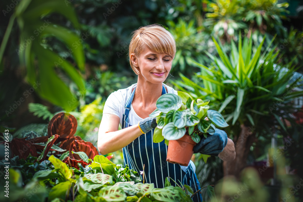 Smiling employee during work in garden center