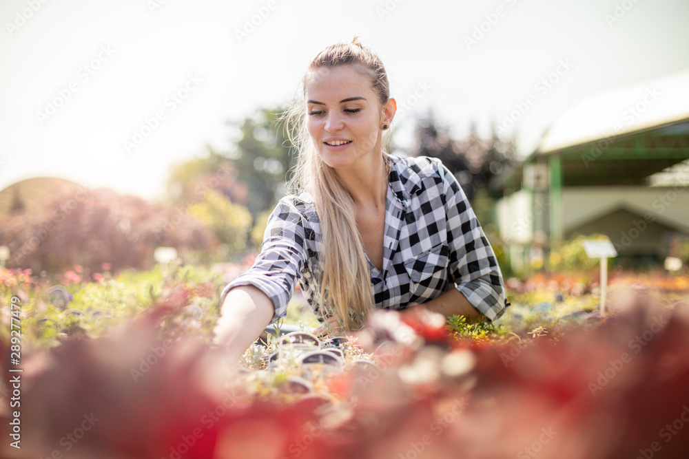 微笑的顾客妇女在花园中心寻找植物