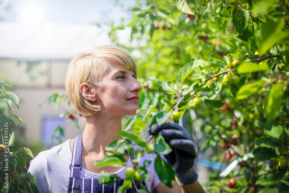 Gardener woman during work in garden center looking at plants