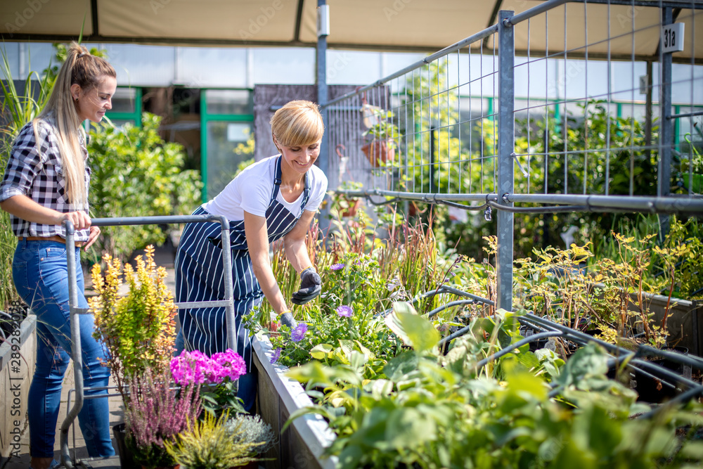 Gardener woman advising female client during buying plants in the garden center