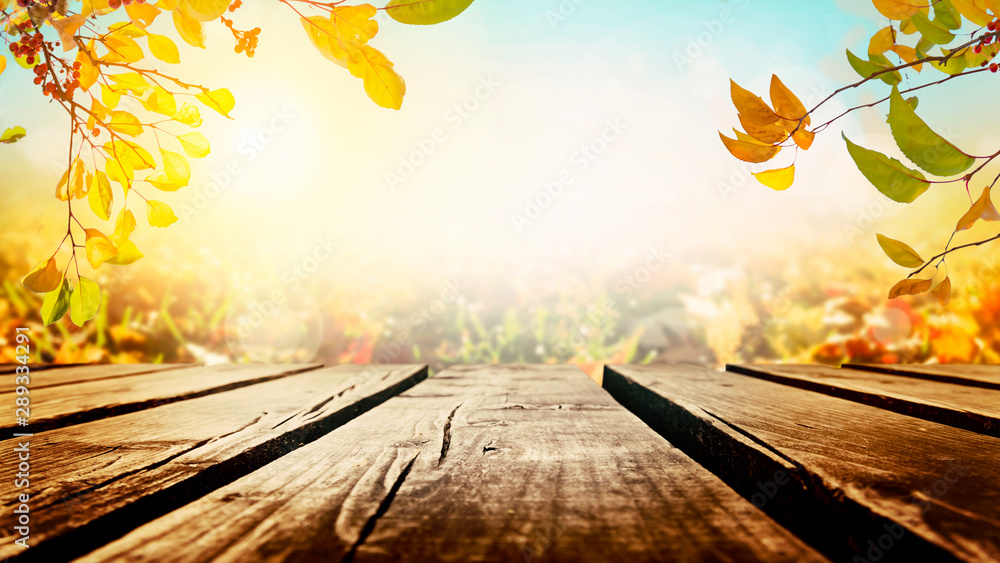 Tree branches with colorful autumn leaves over wooden table