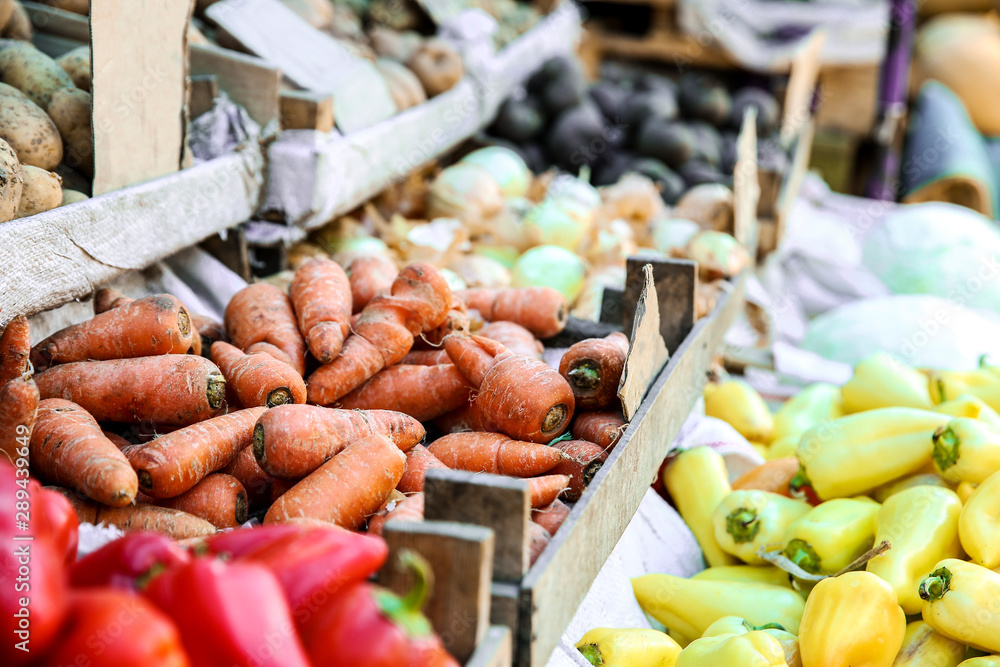 Assortment of fresh vegetables on counter at market