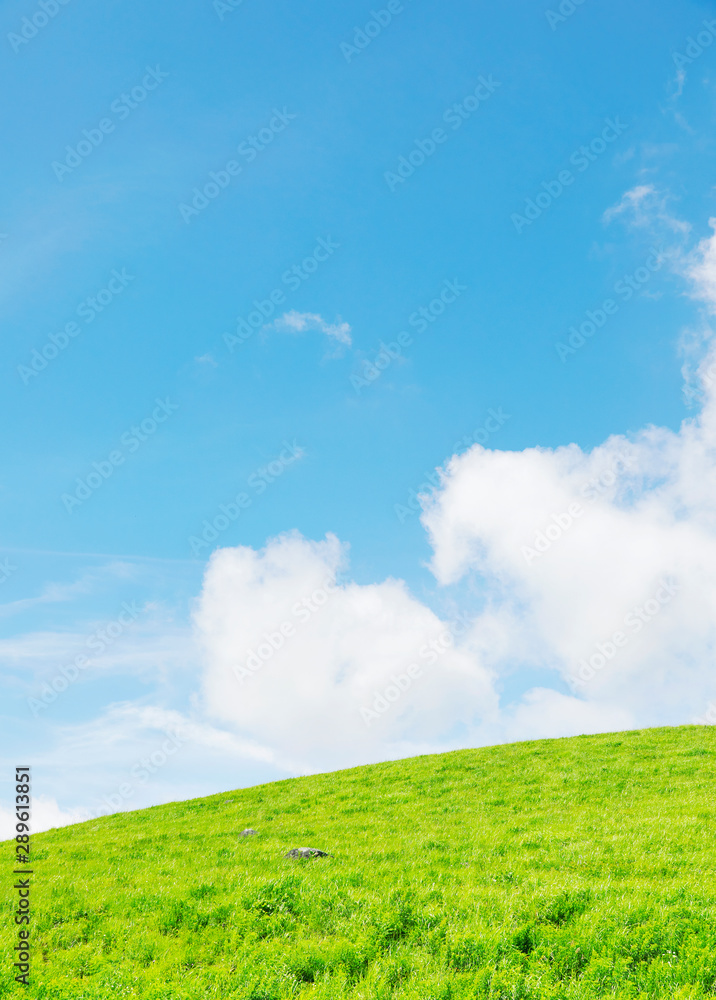 丘陵の風景