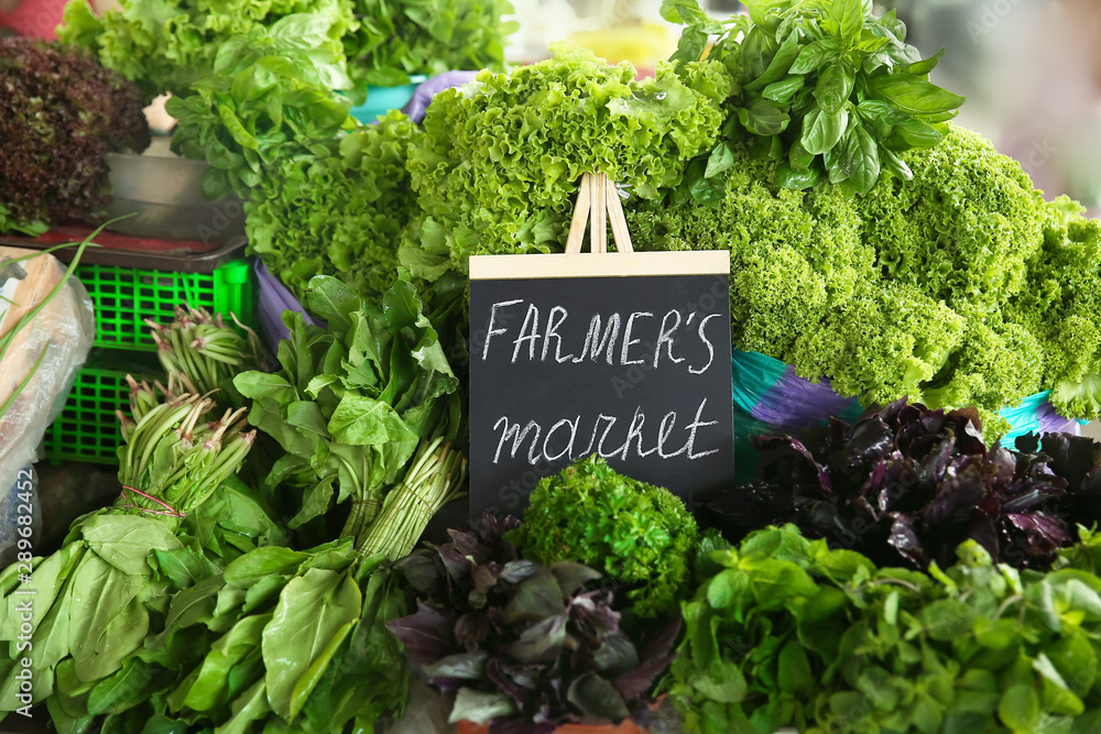 Assortment of fresh herbs on counter at farmers market