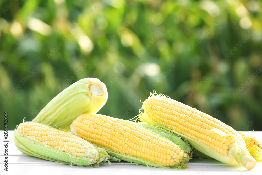 Fresh corn cobs on table outdoors