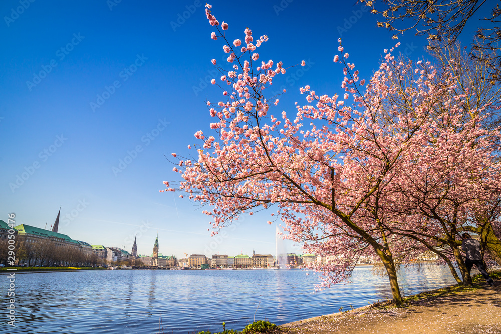 Binnenalster in Hamburg im Frühling