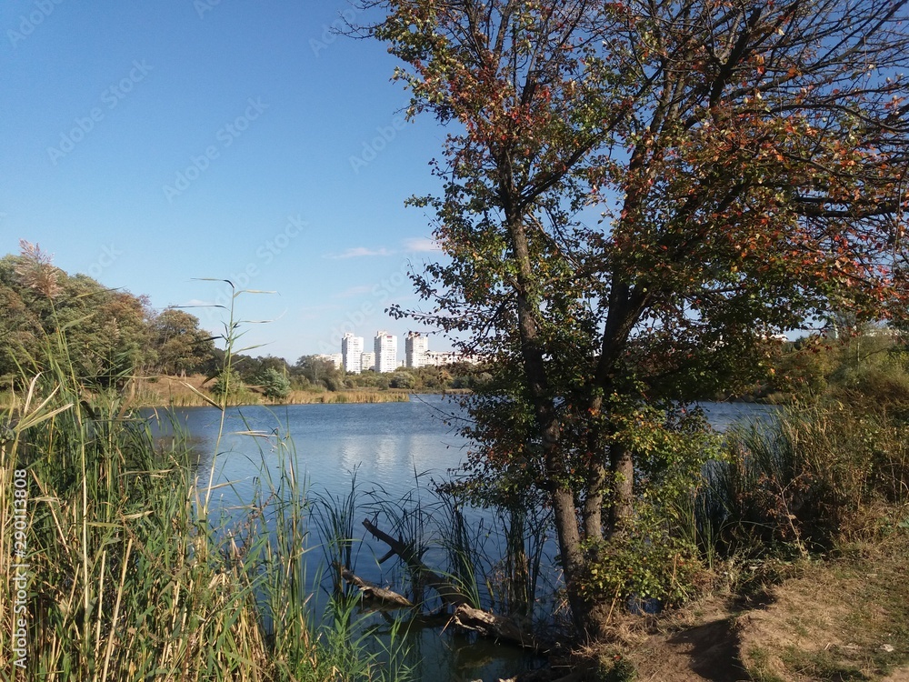 陆地。湖泊。自然。蓝色。水。天空。