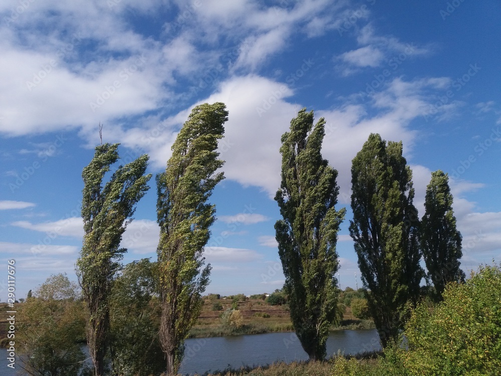 陆地。湖泊。自然。蓝色。水。天空。