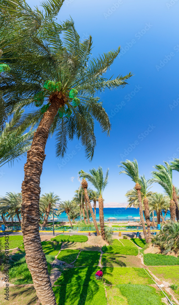 Aqaba: Al Ghandour Beach & Garden