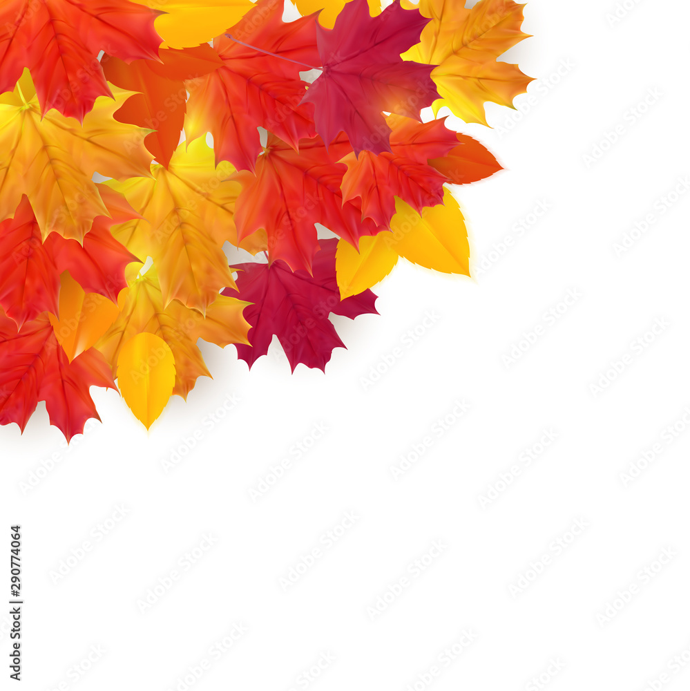 Shiny Autumn Natural Leaves Background. Vector Illustration