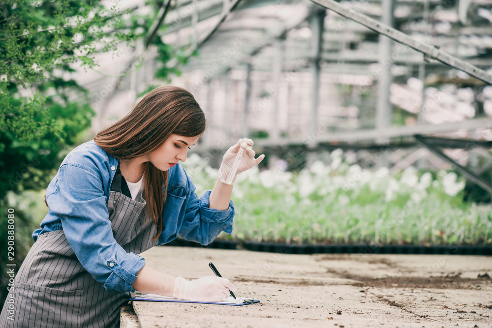 Female agricultural engineer working in greenhouse