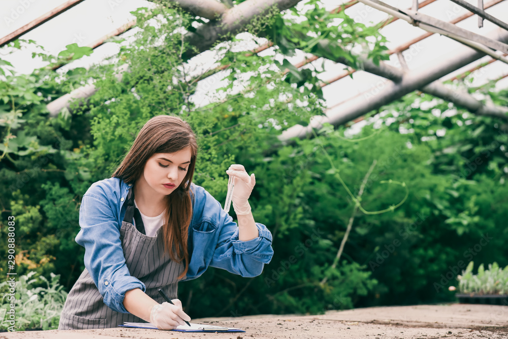 Female agricultural engineer working in greenhouse