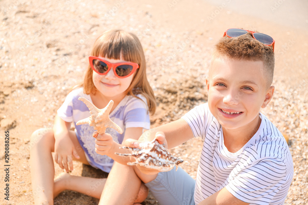 Children playing with shells on sea beach