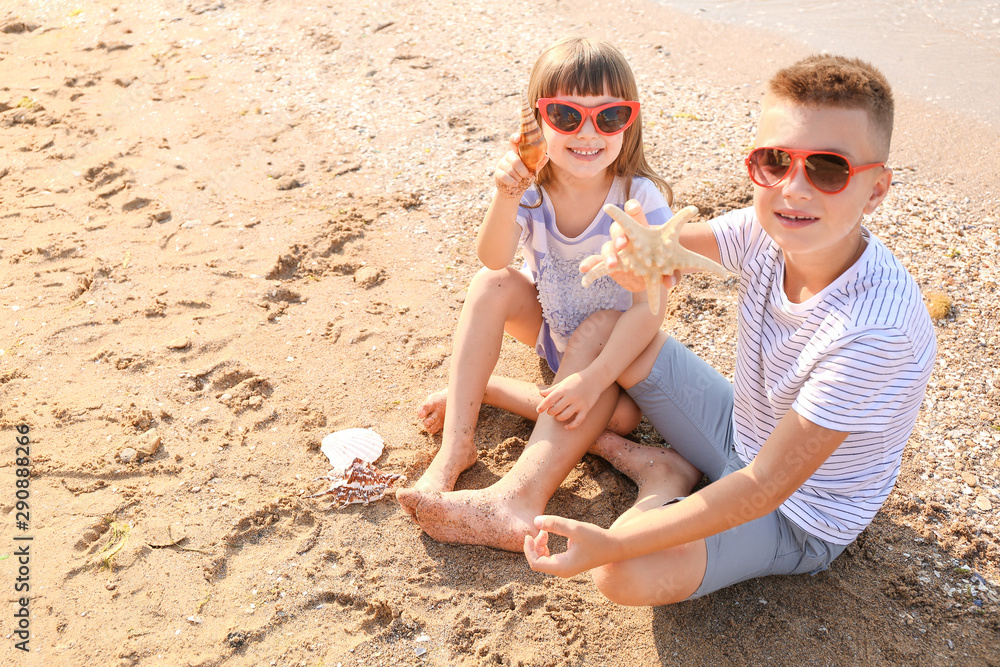 Children playing with shells on sea beach